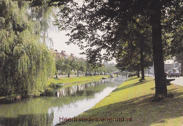 esdoorn